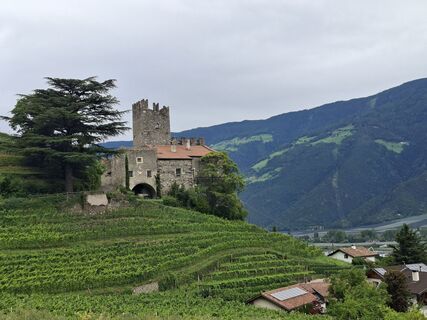 Foto de Franziska Mosebach a lo largo del recorrido