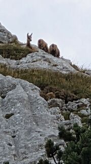 Foto von Klementina Gartner entlang der Tour