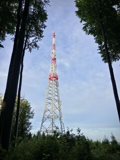 Photo de Pfalzi le long du parcours
