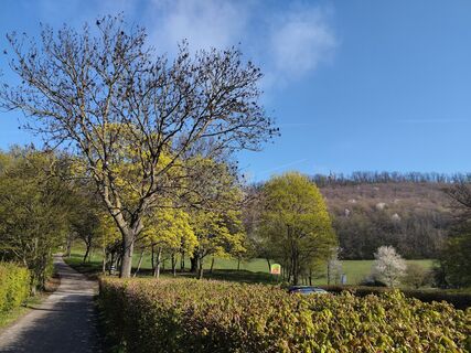 Foto von Poschacher entlang der Tour