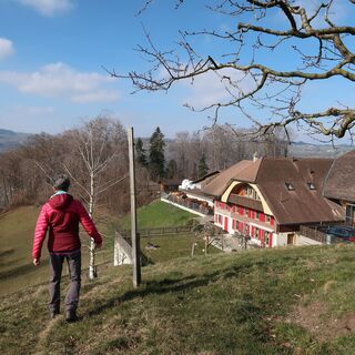 Weide - Belpberg-Chutzen Wanderung