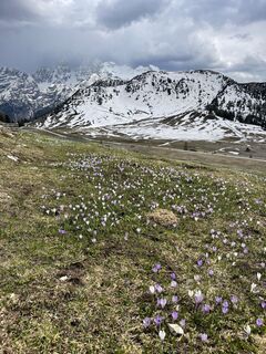 Fotografie z Marina I na trase