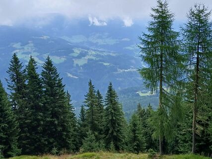 Fotografia z Janko Proehl na trase