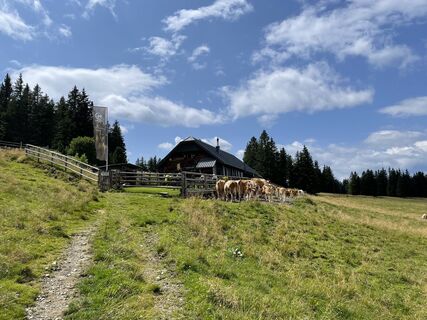 Fotografija s spletne strani 7777777sergi na poti