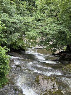 Foto fra Cyrill Bischof undervejs på turen