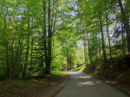 Fotografia z v.stein na trase