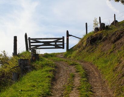 Weg zur Saukaralm