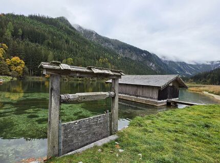 Photo de MRDL le long du parcours