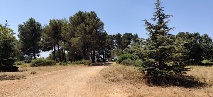 Zdjęcie z Hein Sleddens wzdłuż trasy