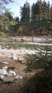 Fotografia z Cati W1985 na trase