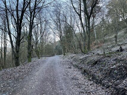 Photo de Martin Lorscheider le long du parcours