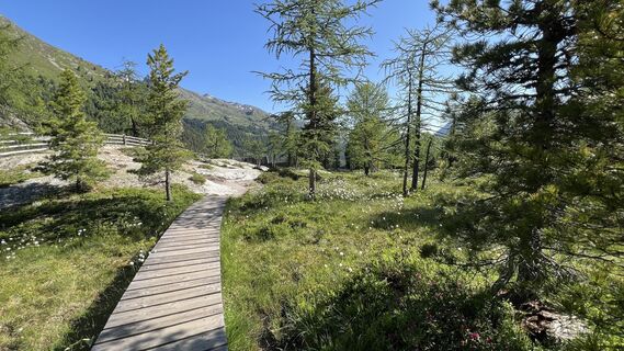 Foto von Pezzotta entlang der Tour