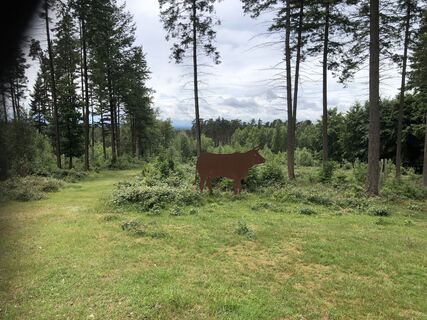 Foto von Josefin Mueller entlang der Tour