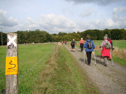 Bergischer Weg bei Falkemich