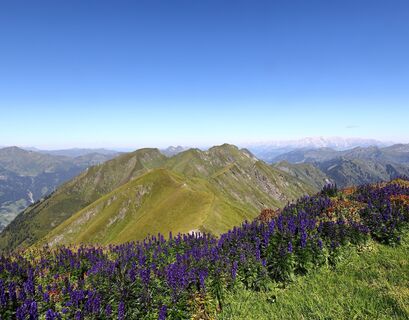 Bergpanorama Frauenkogel