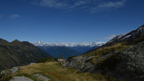 SICHT RETINEN