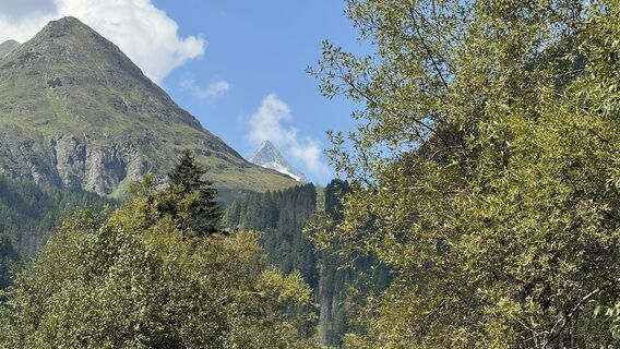 Foto de thschoe a lo largo del recorrido