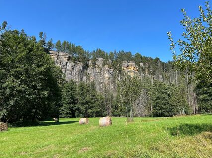 Karta
