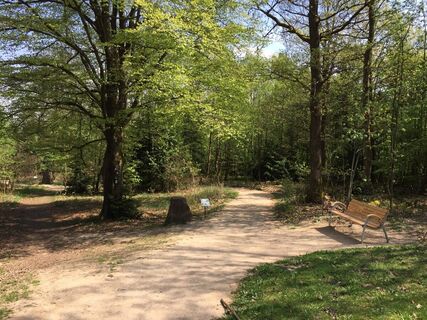 Naturerlebnispfad Hohe Bracht