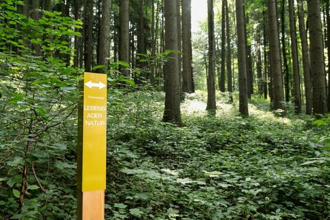 Lebensader Natur Wegweisen