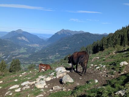 Fotografia z Corentin Charron na trase