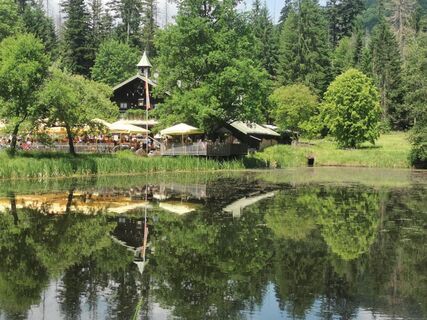 Photo de Waldläufer le long du parcours