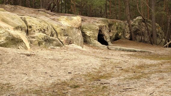 Photo de Noreen Harz le long du parcours
