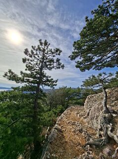 Zdjęcie z Boris Kerš wzdłuż trasy