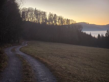 Fotografia z TwilightTea na trase