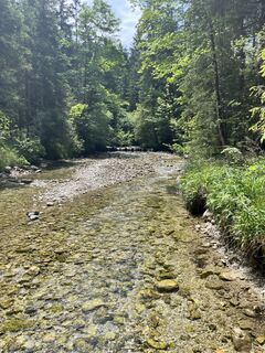 Fotografie de la Dennis Buchmeier de-a lungul turului