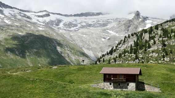 Foto da Arthur Muskalla lungo il tour