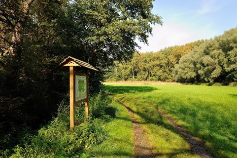 Naturlehrpfad durchs Naturschutzgebiet Rosenau