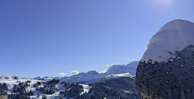 Fotografija s spletne strani Carola Smits na poti
