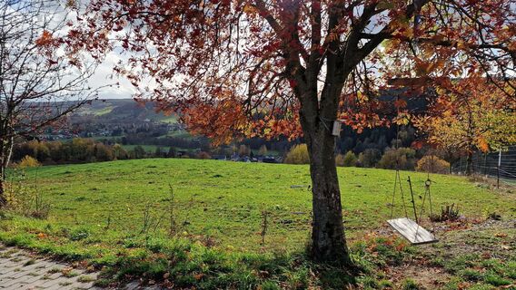 Schaukel nahe Gopplasgrün am Erlbacher Bergweg