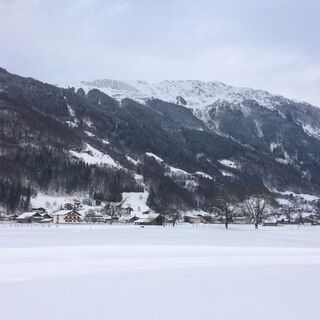 Schrunser Feld, das Hochjoch im Hintergrund