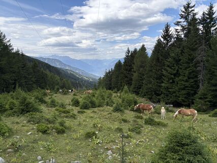 Foto von Christian Schindlbeck entlang der Tour