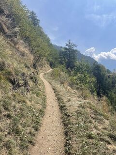 Fotografija s spletne strani Silke na poti