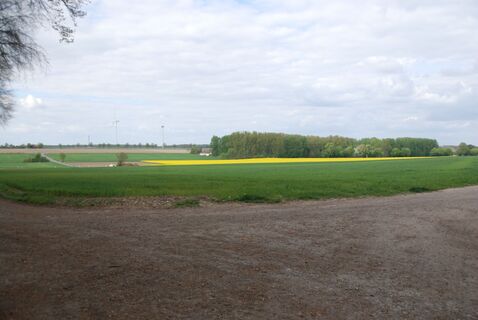 Blick von der Veilchenhöhe