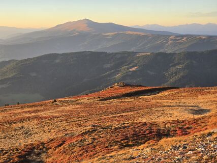 Fotografia z TwilightTea na trase