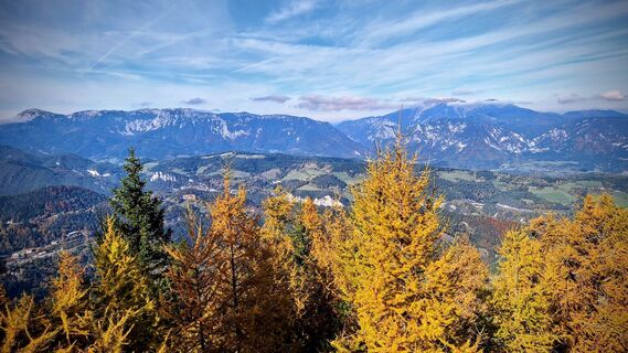 Fotografia z Susi Puhl na trase