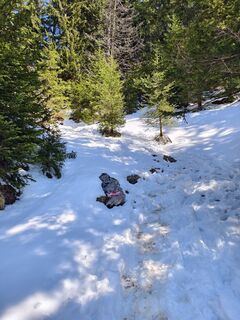 Foto da Porpáczy Szabina lungo il tour
