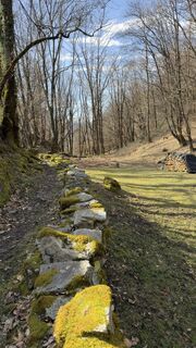 Photo de Peter Burki le long du parcours