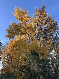 Fotografia z Cyrill Bischof na trase