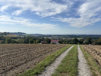Photo de Michael Friedl le long du parcours