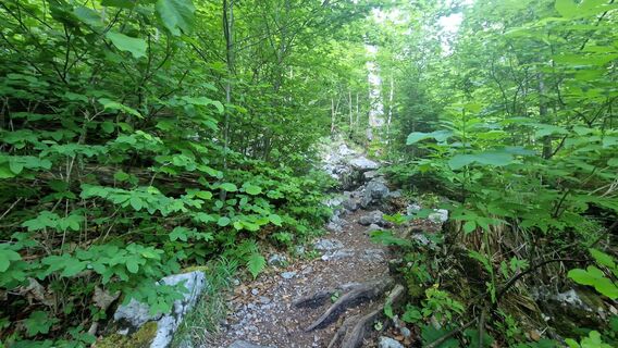 Photo de EP87 le long du parcours