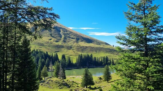 Foto fra don_pejote underveis på turen