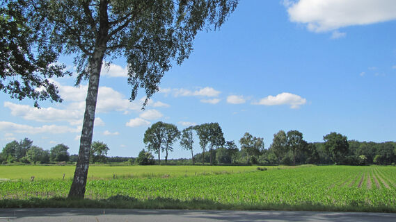 Landschaft rund um Selsingen