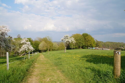 Wiesenweg vor Kern