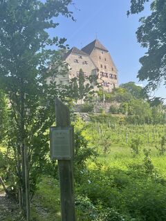 Fotografie z Martin.Salber na trase