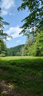 Fotografia z Ich 1 na trase